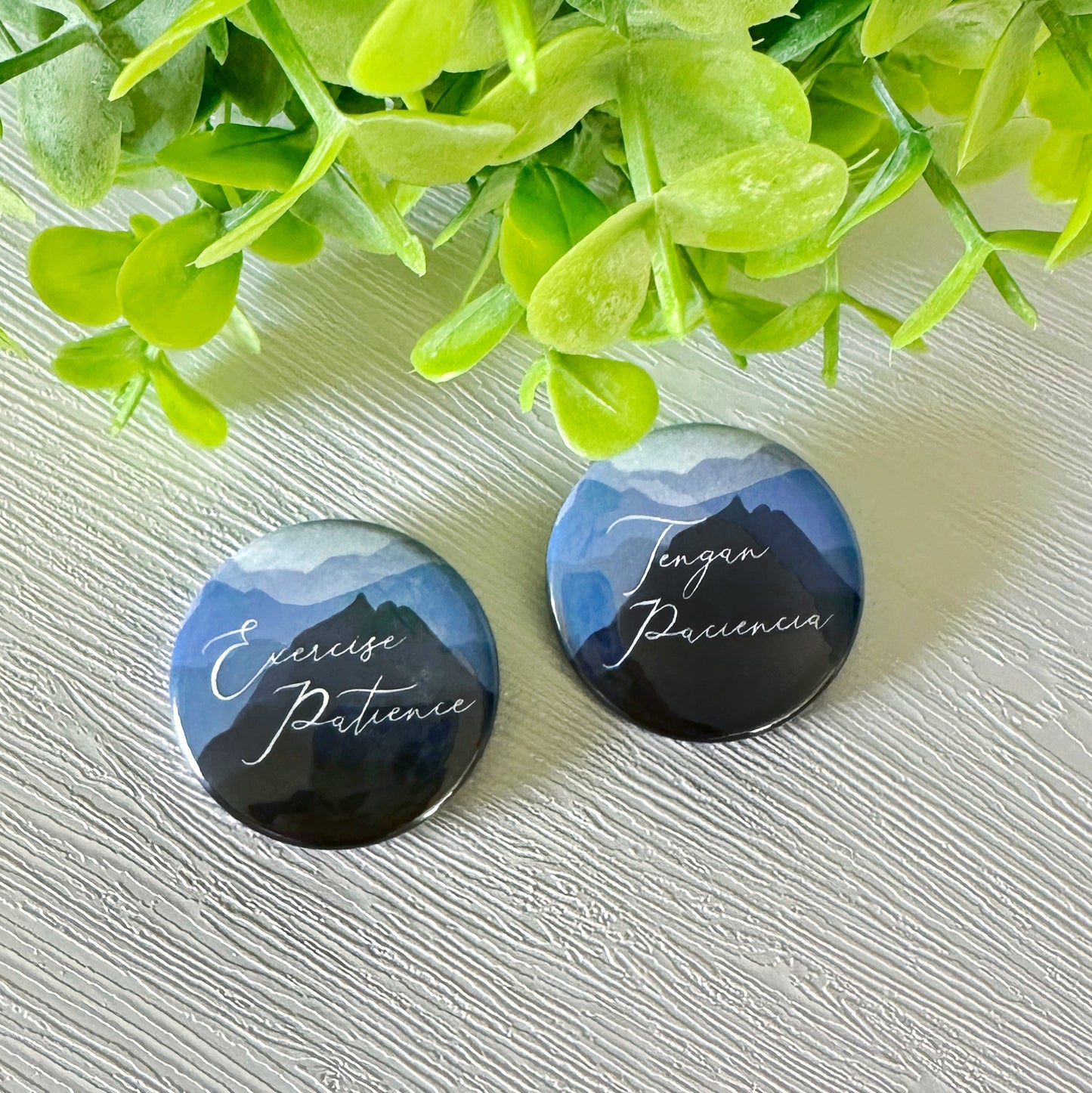 2023 Exercise Patience Mountain Convention Pins