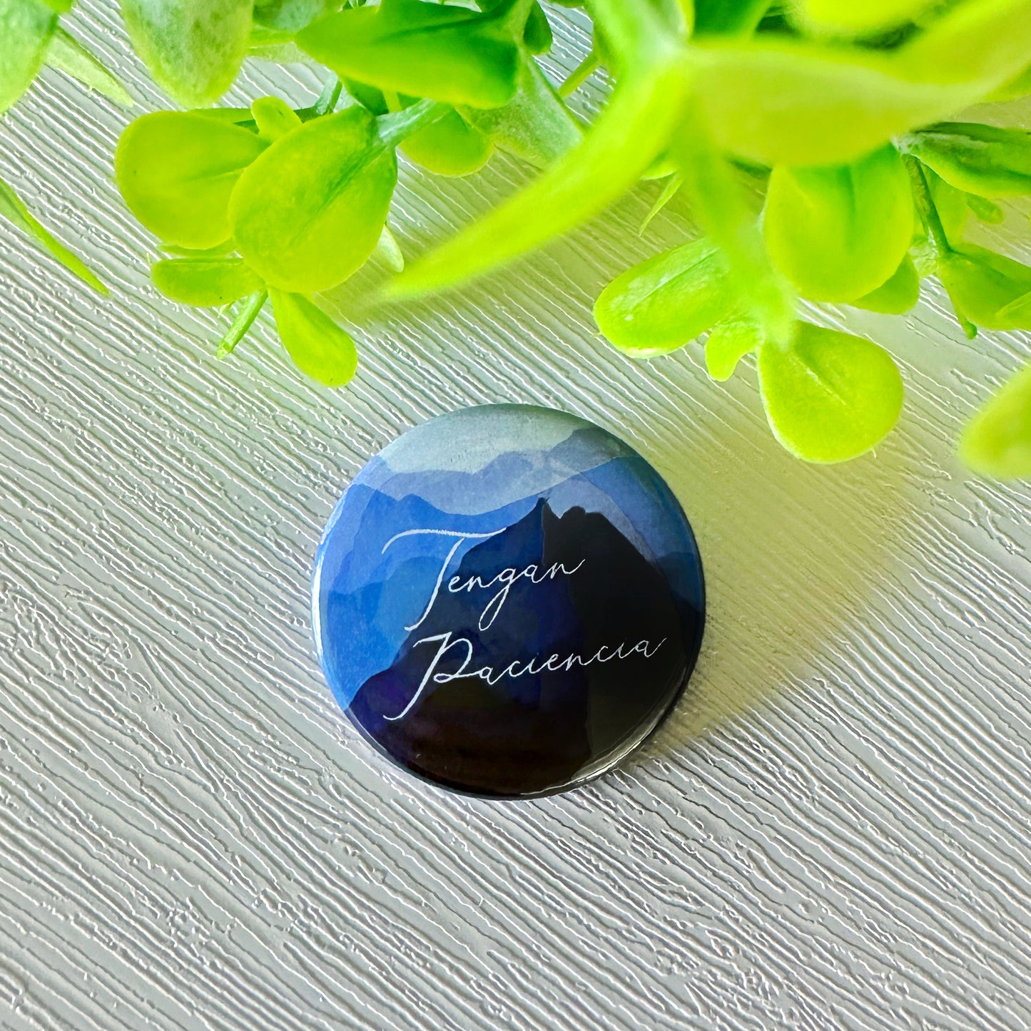 2023 Exercise Patience Mountain Convention Pins