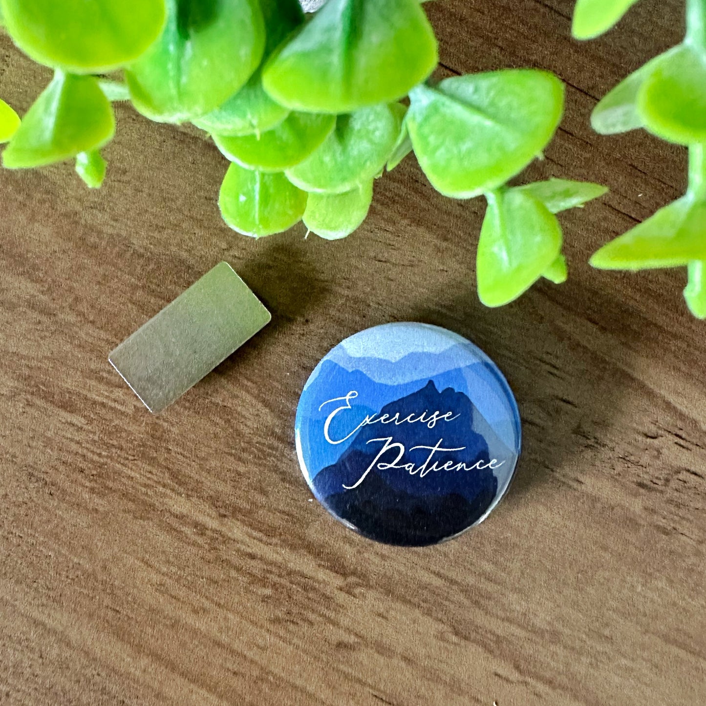 Exercise Patience Mountain Magnetic Button 2023 Convention
