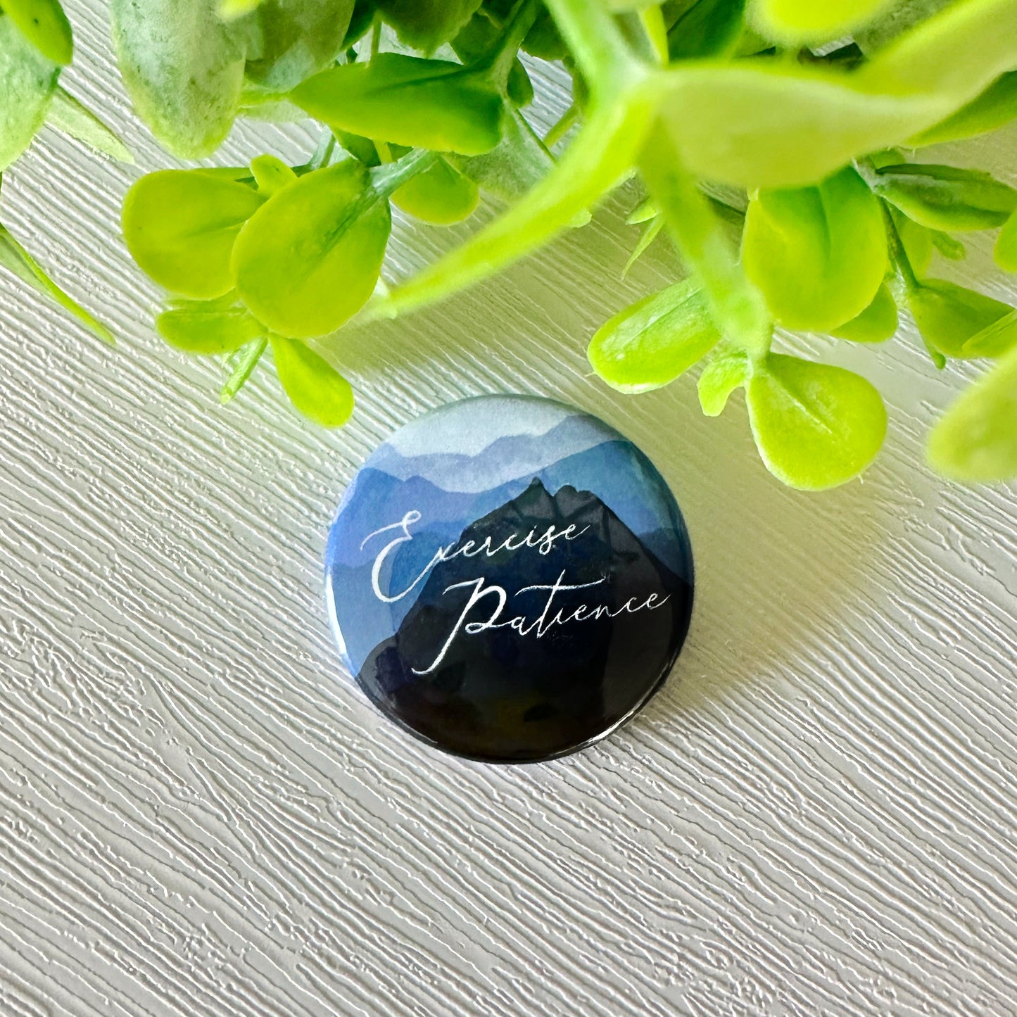 2023 Exercise Patience Mountain Convention Pins