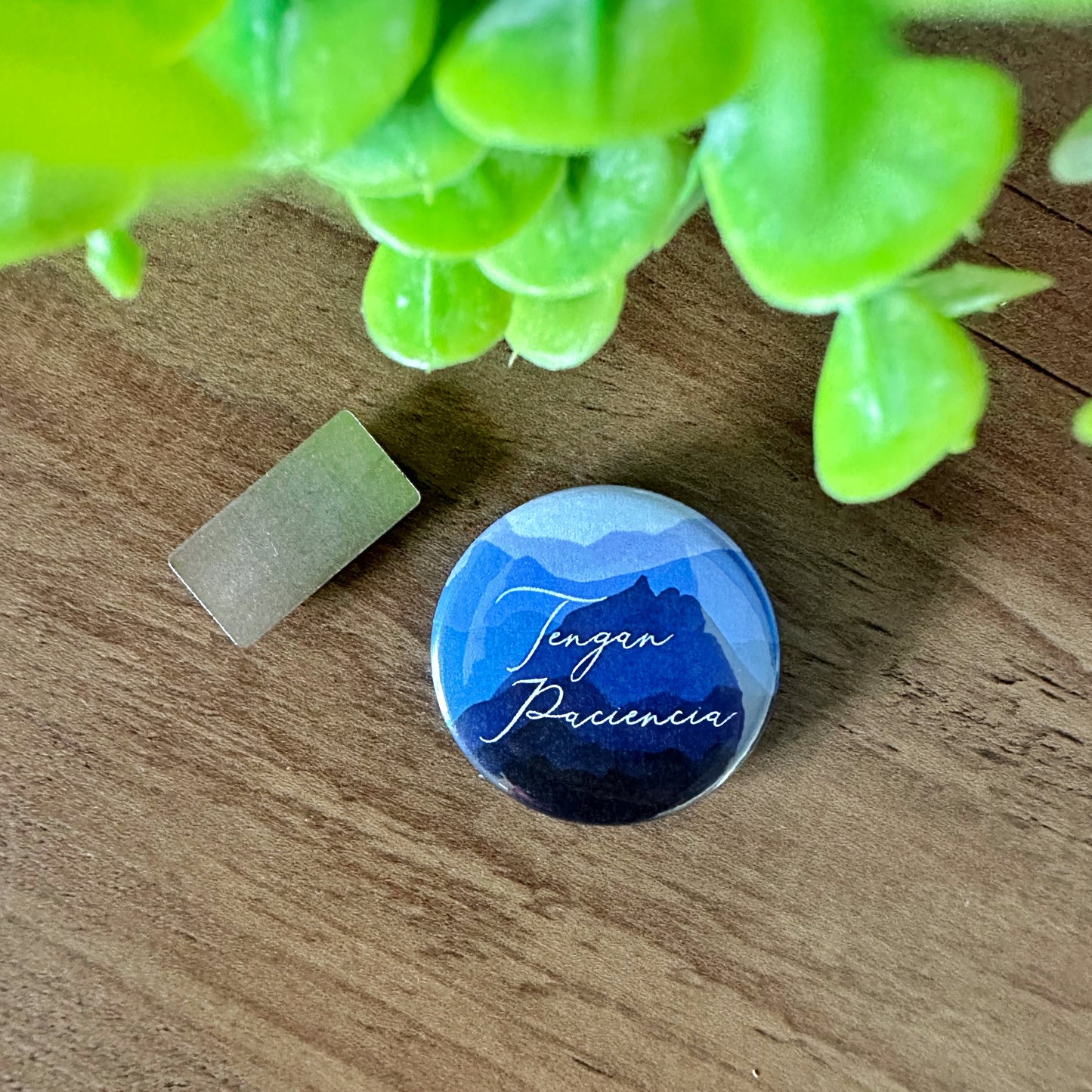 Exercise Patience Mountain Magnetic Button 2023 Convention
