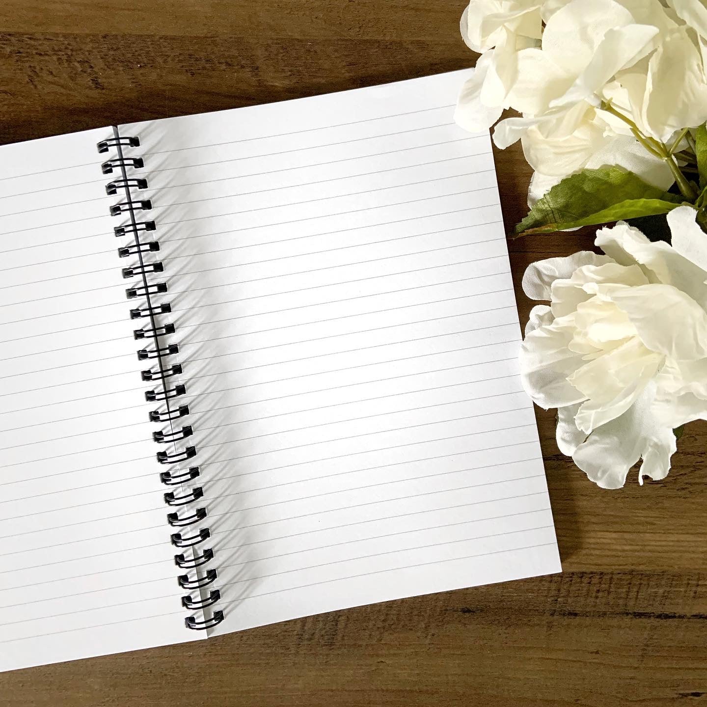 Journals & Notebooks